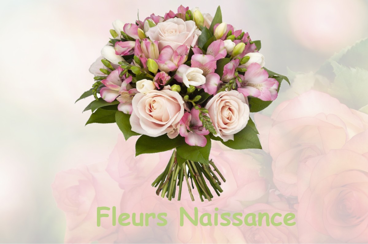 fleurs naissance NAMPTEUIL-SOUS-MURET